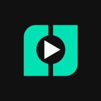 Viddexa AI logo - Similar company to Aky Tech