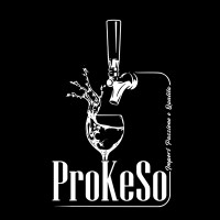 ProKeSo GmbH logo - Similar company to Edition-Lmz