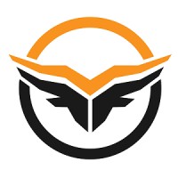 Prodevplus logo - Similar company to Web2India