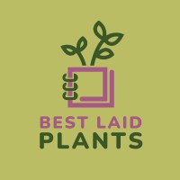 Best Laid Plants Llc
