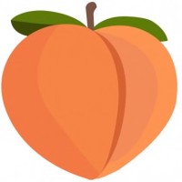 Peach - Fundraising for Startups logo - Similar company to Donaction