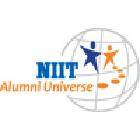 NIIT Alumni logo - Similar company to Tech Consultants Group (Tcg)