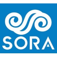 Sora Web logo - Similar company to Pilotx