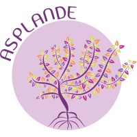 Asplande Assessoria & Planejamento para o Desenvolvimento logo - Similar company to Trabalho No Divã - Consultoria Em Saúde Mental No Trabalho