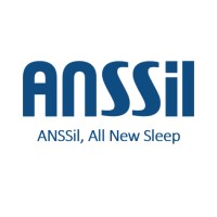 ANSSil Co.,Ltd logo - Similar company to 8Around