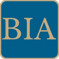 Business Intelligence Analytics Inc. logo - Similar company to Seekho.Pk