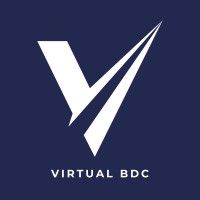 Virtual BDC LLC logo - Similar company to Build Estimation