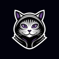 Neurodiverse Hackers logo - Similar company to Samtænkningssektionen