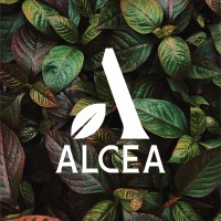 ALCEA logo - Similar company to Carequest Sàrl