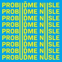 Probuďme Nusle logo - Similar company to Pangea