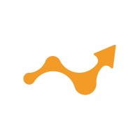 BSR STRATEGY logo - Similar company to Ppc Doctor