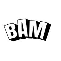 BAM logo - Similar company to Witness This