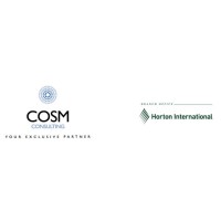 COSM CONSULTING SRL logo - Similar company to Western Engineering