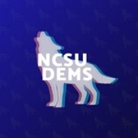 NC State College Democrats logo - Similar company to Seagull