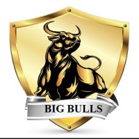 big-bulls-77 logo - Similar company to Bncw Enterprises
