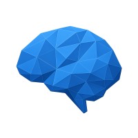 BigBrain logo - Similar company to Big Brain