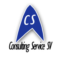 Consulting Services SV logo - Similar company to Poc Consulting Group