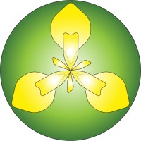 IrisBG logo - Similar company to New Directions In The American Landscape