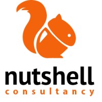 Nutshell Consultancy logo - Similar company to Jk Media Productions
