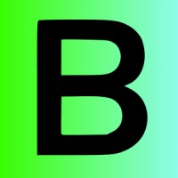 Boykin Consulting logo - Similar company to Sobel Skin