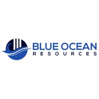 Blue Ocean Resources logo - Similar company to Manchester Talent & Project Solutions