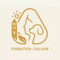 Fondation Callaine - Fondation abritée Fondation de France logo - Similar company to Batichiffrage