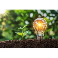Magnetreecity logo - Similar company to Greenerchains