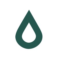 Nedstar logo - Similar company to People Masterminds