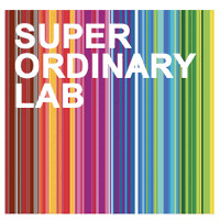 Super Ordinary Laboratory logo - Similar company to Impact Evolution Technologies
