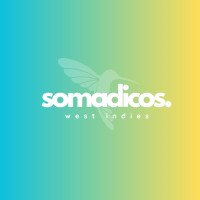 Somadicos logo - Similar company to Hexoray