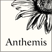 Anthemis logo - Similar company to Anthemis