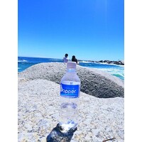 Dapper Water logo - Similar company to Dapper. Texel.