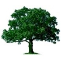 WOODSIDE LODGE LIMITED logo - Similar company to Woodside Group