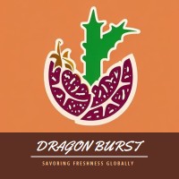 DragonBurst.id logo - Similar company to Cv. Morlinka Official