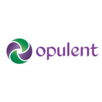 Opulent Infotech Private Limited logo - Similar company to Ikheti