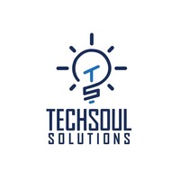 Techsoul Solutions logo - Similar company to Cloudvizor