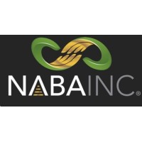 National Association of Black Accountant - MNSU Chapter logo - Similar company to Black Accountants Talent Network (Batn)