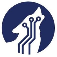 Wolfpack Techies logo - Similar company to Level10