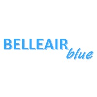 Belleair Blue logo - Similar company to Moravia Capital