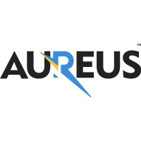 Aureus DSV logo - Similar company to Sbn Technologies Inc