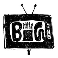 Little Big Films Bangladesh logo - Similar company to Visual Assets Management Solutions