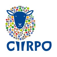 CIIRPO logo - Similar company to Icaerus Eu