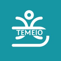 Temeio Conseil logo - Similar company to Inet System