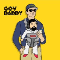 GOVDADDY logo - Similar company to Modular Misfits