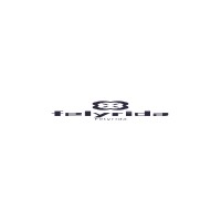 Felyrida Technology Co., Ltd logo - Similar company to Vastmedia