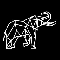 White Elephant Consulting logo - Similar company to Bínculo