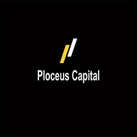 Ploceus logo - Similar company to K&P Advisory