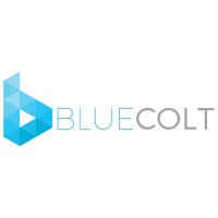 Blue Colt Advisory Services LLC logo - Similar company to Fuseprop