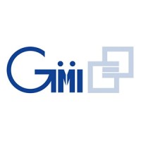 GMI SA logo - Similar company to Kazuki®