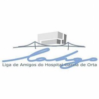 LAHGO logo - Similar company to Hl Logistica Aduanal Sa De Cv